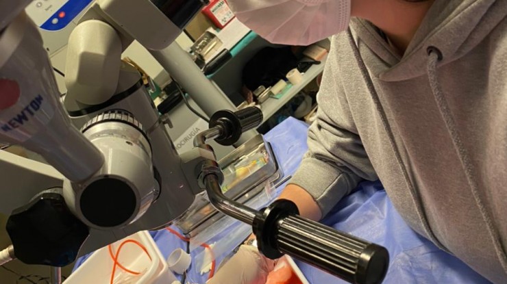 Entrenamiento microquirúrgico y neuroendovascular